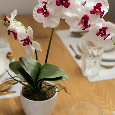 Lejlighed Premium By The Danube With Ac Budapest