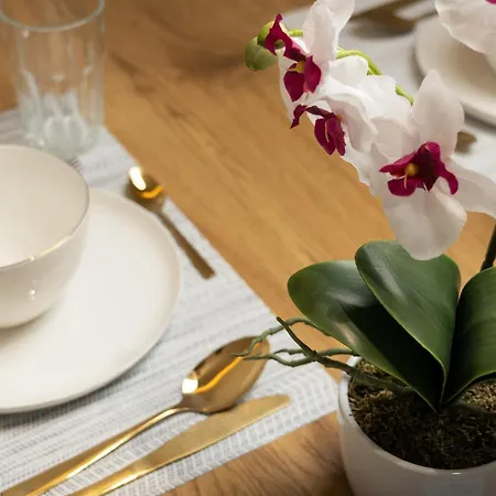 Premium By The Danube With Ac *